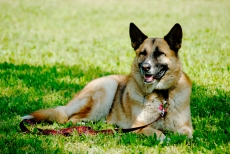 20140427 143028.jpg